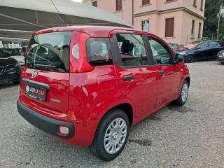 FIAT Panda usata, con Boardcomputer