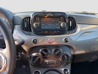 FIAT 500 usata 15