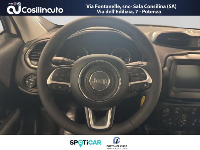 JEEP Renegade usata, con Cruise Control