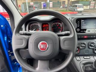 FIAT Panda usata, con Controllo trazione