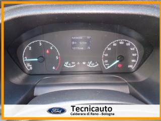 FORD Transit Custom usata, con Autoradio digitale