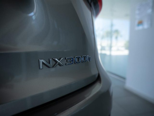 LEXUS NX 200t usata, con Fendinebbia
