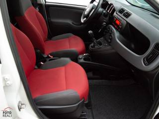 FIAT Panda usata 24