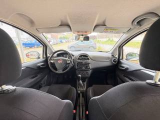 FIAT Punto usata, con Servosterzo