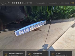 MERCEDES-BENZ E 220 usata, con Vetri oscurati