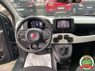 FIAT Panda usata, con ESP