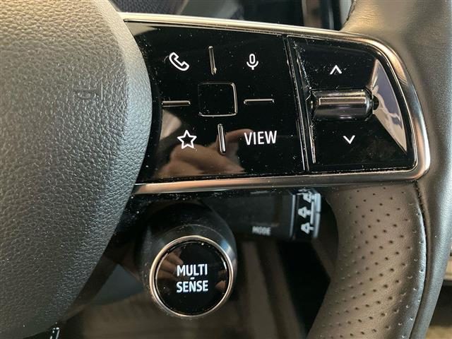RENAULT Megane usata, con Specchietti laterali elettrici