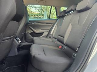 SKODA Octavia usata 101