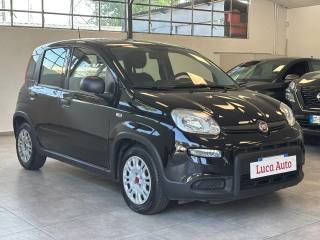 FIAT Panda usata, con Airbag Passeggero