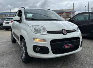 FIAT Panda usata, con Airbag Passeggero