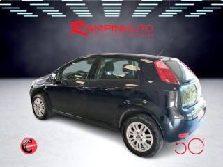 FIAT Punto usata 9