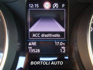 VOLKSWAGEN Passat Variant usata, con Immobilizzatore elettronico