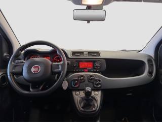 FIAT Panda usata 10
