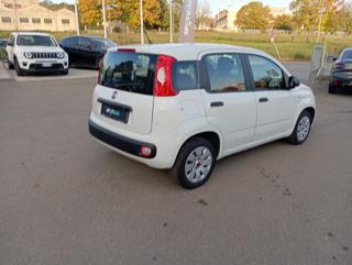 FIAT Panda usata 15