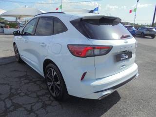 FORD Kuga usata, con Servosterzo