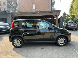 FIAT Panda usata, con Airbag laterali