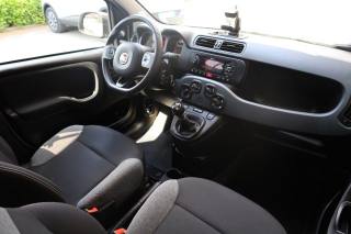 FIAT Panda usata, con Fendinebbia