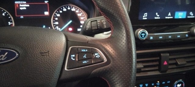 FORD EcoSport usata 22