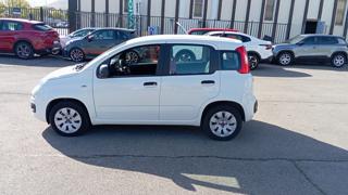 FIAT Panda usata 15