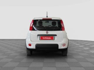 FIAT Panda usata 3