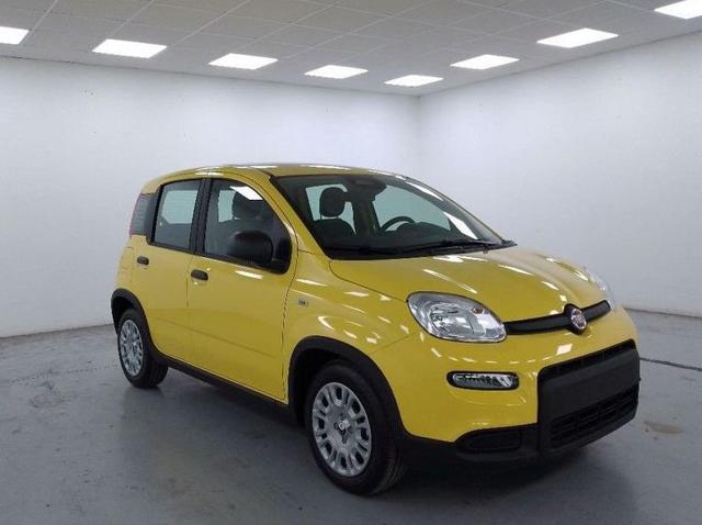 FIAT Panda usata, con Alzacristalli elettrici