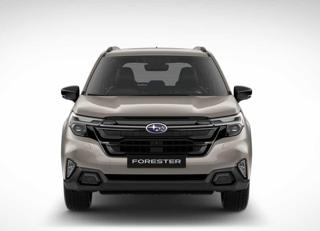 SUBARU Forester usata, con Airbag Passeggero