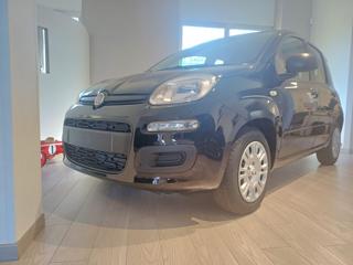 FIAT Pandina POP  *ADAS