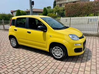 FIAT Panda usata, con Airbag Passeggero