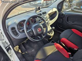 FIAT Panda usata 9