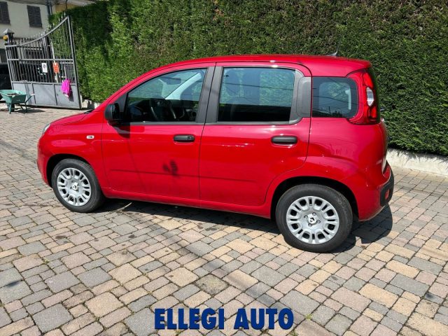 FIAT Panda usata, con Climatizzatore