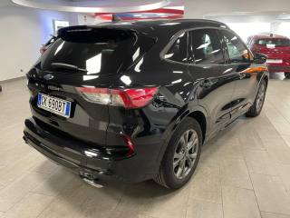 FORD Kuga usata, con Fendinebbia