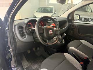 FIAT Panda usata, con Antifurto