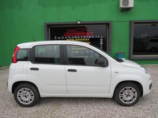 FIAT Panda usata, con Chiusura centralizzata