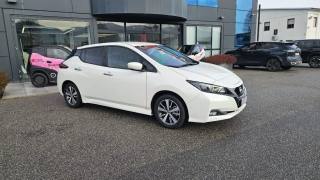 NISSAN Leaf usata, con Airbag