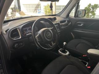 JEEP Renegade usata, con Cruise Control
