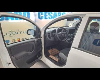 FIAT New Panda usata, con Controllo automatico clima