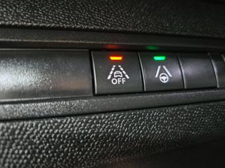 PEUGEOT 3008 usata, con Cronologia tagliandi