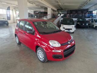 FIAT Panda usata, con Airbag