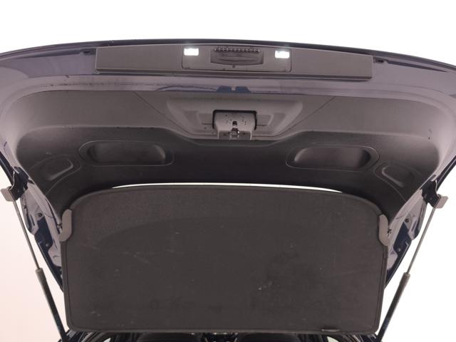 FORD Puma usata, con Bracciolo