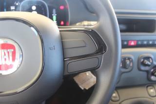 FIAT Panda usata 18