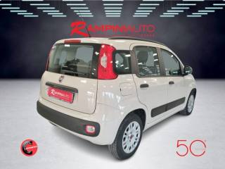 FIAT Panda usata 8