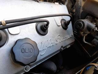 ALFA ROMEO GTV usata 36