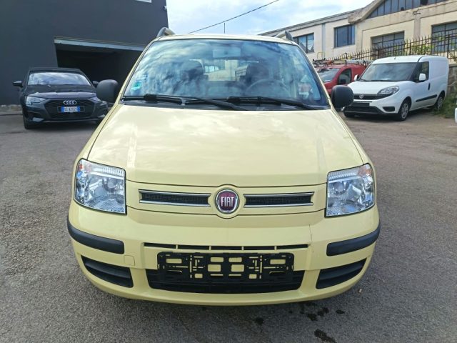 FIAT Panda usata 2