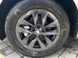 SKODA Fabia usata, con Controllo trazione