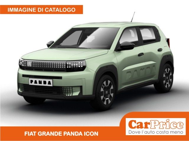 FIAT Grande Panda usata, con Airbag