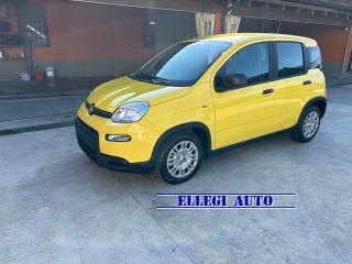 FIAT Panda PROMO FINANZ.PANDINA 1.0  Hybrid  KM  0