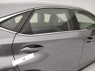 LEXUS NX 300h usata, con Volante multifunzione
