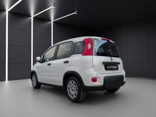 FIAT Panda usata, con Airbag Passeggero
