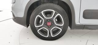 FIAT Panda usata 59