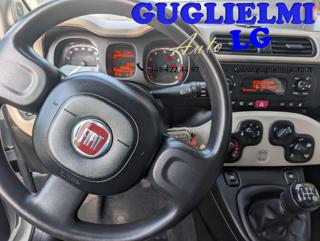 FIAT Panda usata 22